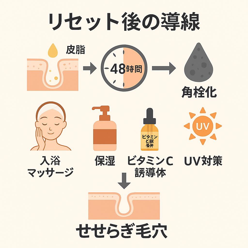 「リセット後の導線」というタイトルの図解。
上段では「皮脂 → 48時間 → 酸化 → 角栓化」という時間構造が矢印で示されている。
下段では「入浴マッサージ」「保湿」「ビタミンC誘導体」「UV対策」の4ステップが並び、最後に毛穴の断面イラストと「せせらぎ毛穴」のゴールが描かれている。
👉 リセット後に再詰まりを防ぐための48時間ルールと、せせらぎ毛穴を維持する流れを直感的に伝える構成。