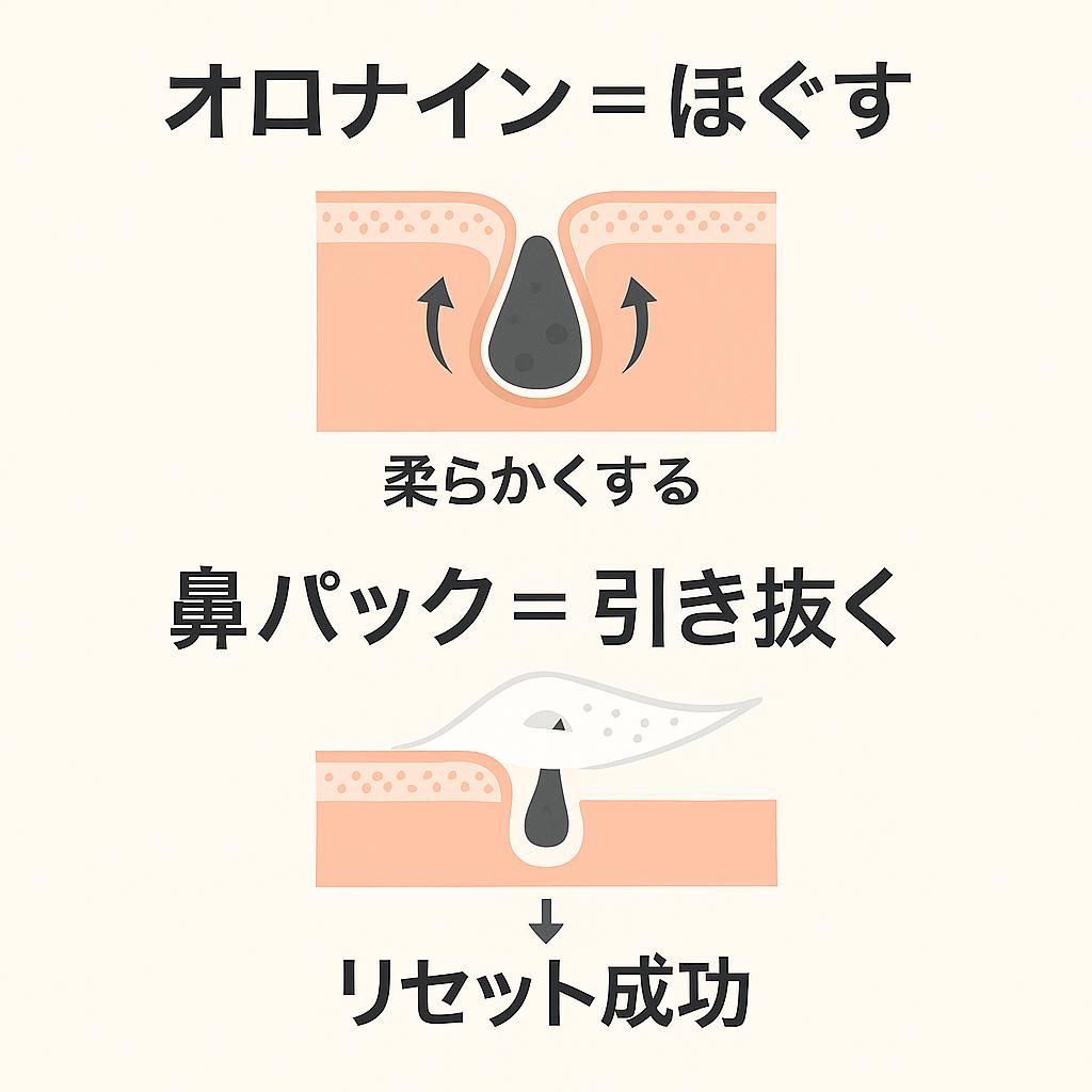 「オロナイン=ほぐす」「鼻パック=引き抜く」という二段階プロセスを示す図。
上部ではオロナインによって毛穴の角栓が柔らかくされる様子が描かれ、
下部では鼻パックで角栓がシートに引き抜かれているイラストがあり、
最後に「リセット成功」と表示されている。