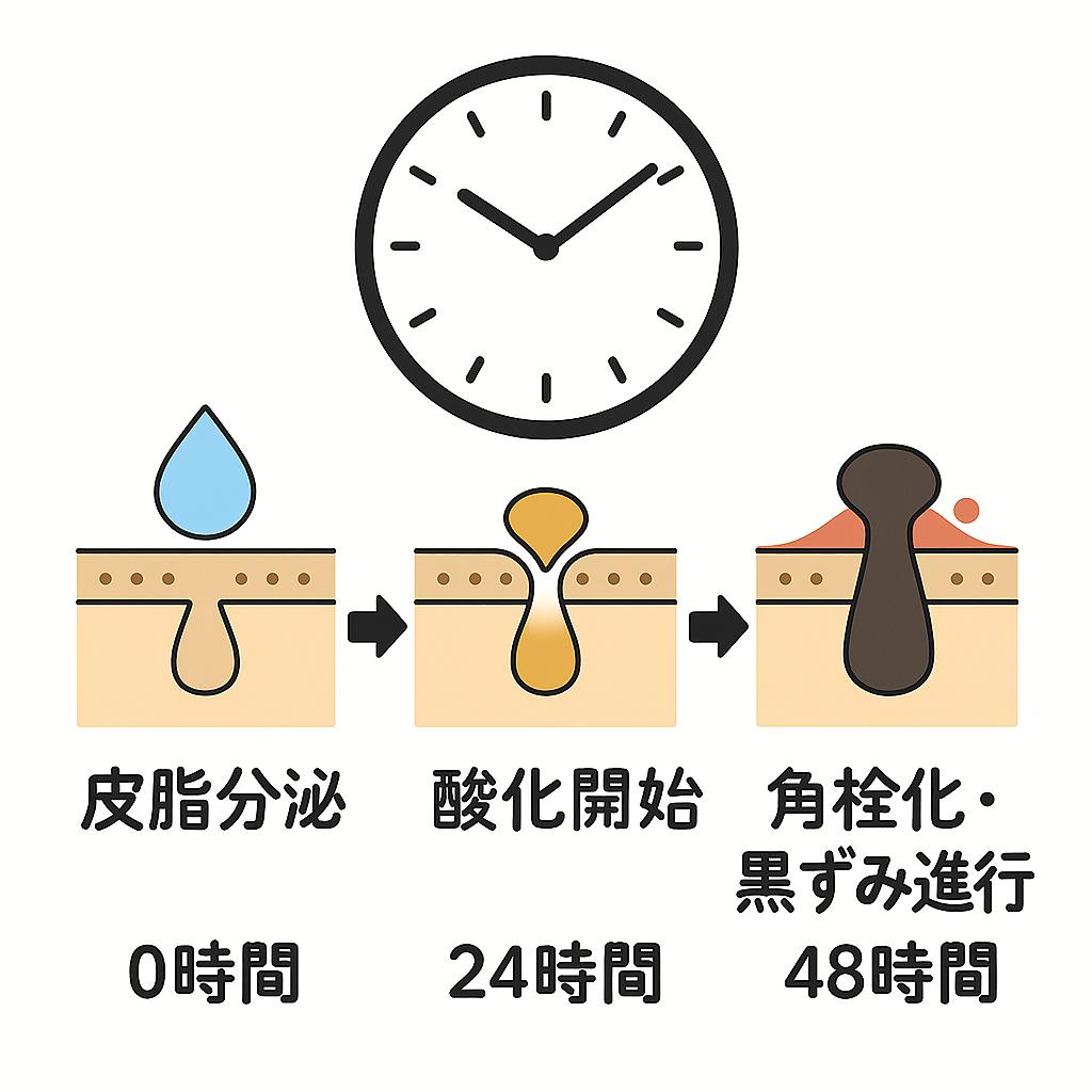 皮脂が時間とともに酸化し、角栓や黒ずみになるまでの流れを示した日本語の図解。
0時間＝「皮脂分泌」、24時間＝「酸化開始」、48時間＝「角栓化・黒ずみ進行」と矢印でつながり、上部には時計のイラストが配置されている。