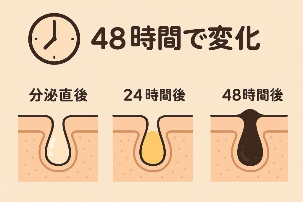 「皮脂の変化を3段階で示す図解。左から順に、分泌直後=透明、24時間後=黄色くベタつく、48時間後=黒ずんで角栓化。上部には時計アイコンと『48時間で変化』の文字が表示されたイラスト。」