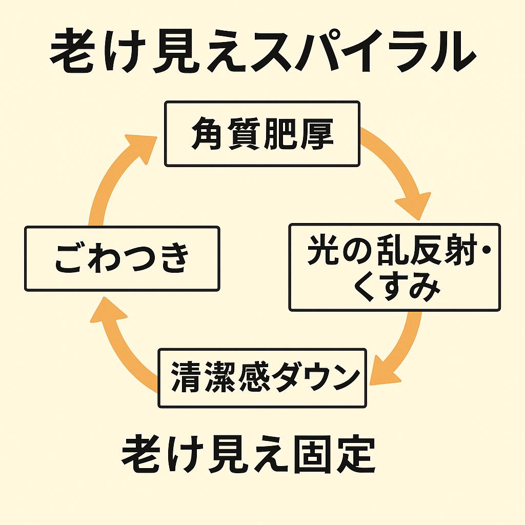 「老け見えスパイラルを示すフローチャート図。『角質肥厚 → 光の乱反射・くすみ → 清潔感ダウン → ごわつき』と矢印で循環し、下に『老け見え固定』と記載されている。毛穴のごわつきが老け見えを加速する仕組みを表現した図解。」