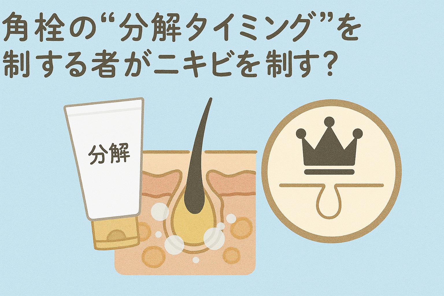 「角栓の分解タイミングがニキビ予防に重要であることを示す肌断面のイラストと“王冠マーク”が並んだ構成