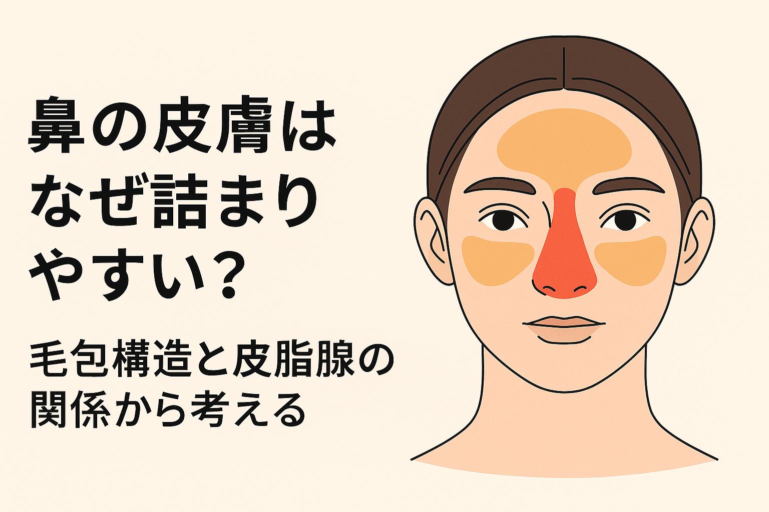 横長の教育用イラスト。左側に「鼻の皮膚はなぜ詰まりやすい？毛包構造と皮脂腺の関係から考える」と日本語で大きく表示。右側には女性の顔の正面図が描かれ、鼻は赤、額と頬はオレンジで塗られ、皮脂腺の集中度を示している。