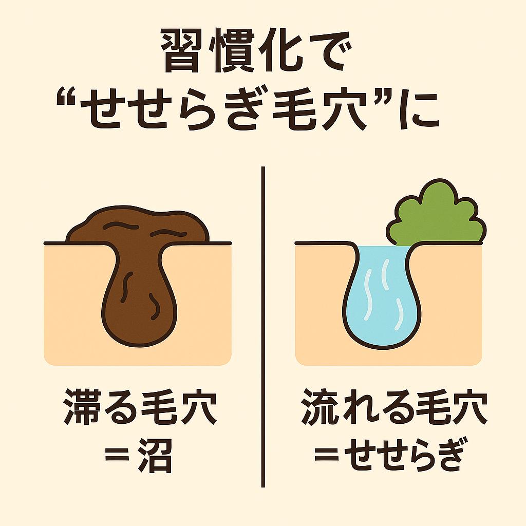 「習慣化で“せせらぎ毛穴”に」と書かれた比較イラスト。

左側：滞る毛穴＝沼。茶色い皮脂が詰まり、ドロッと溜まっている様子。

右側：流れる毛穴＝せせらぎ。青い水がスムーズに流れ、上に緑の草が添えられた清潔な毛穴。
毛穴の状態が「習慣」によって変えられる未来を表現している。