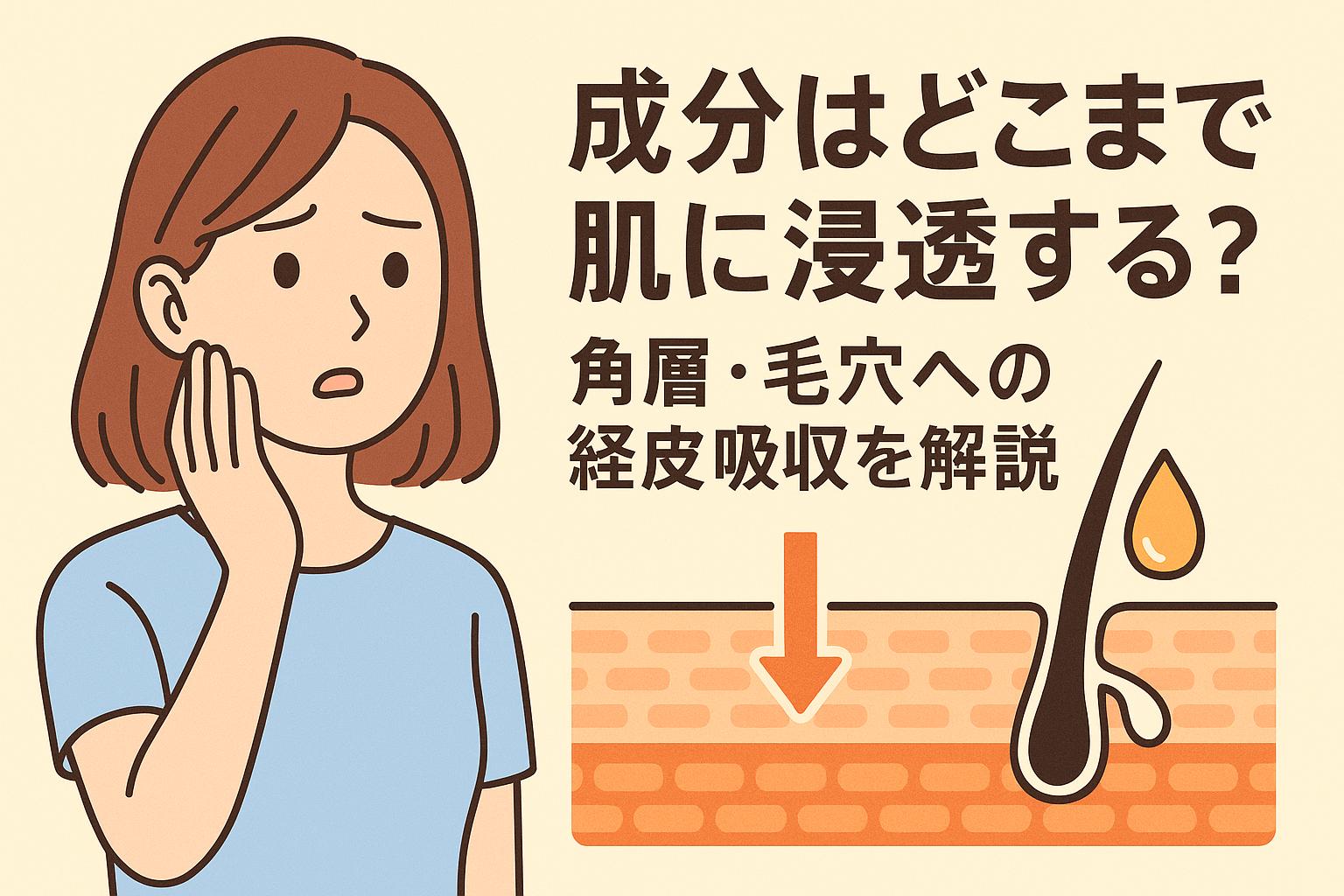 成分は肌にどこまで浸透するのかを解説するイラスト。20代女性が頬に手を当てて不安そうな表情を浮かべており、右側には「角層・毛穴への経皮吸収」に関する図解と日本語タイトルが記載されている。スキンケア成分の浸透や毛穴ケアに関心のあるユーザー向け。
