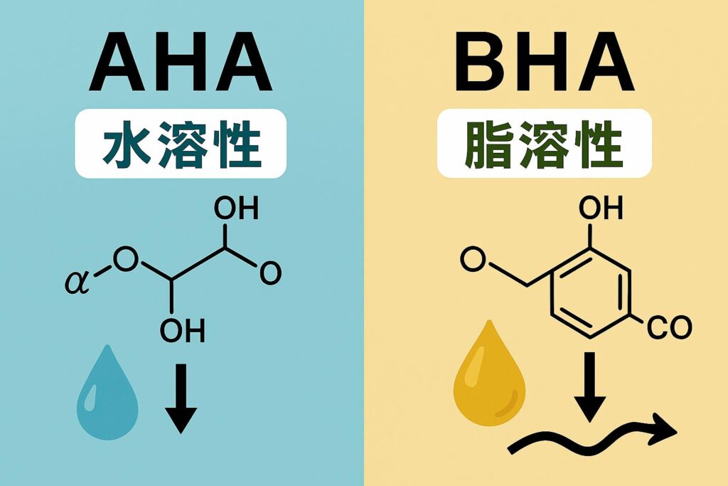 「AHAとBHAの化学構造と溶解性を比較した図解。左は水色背景でAHA（水溶性）、α位にOH基を持つ構造式と青い水滴、矢印で表面に作用するイメージ。右はベージュ背景でBHA（脂溶性）、芳香環を持つ構造式と黄色の油滴、矢印で毛穴の奥まで届く様子を示している。」 