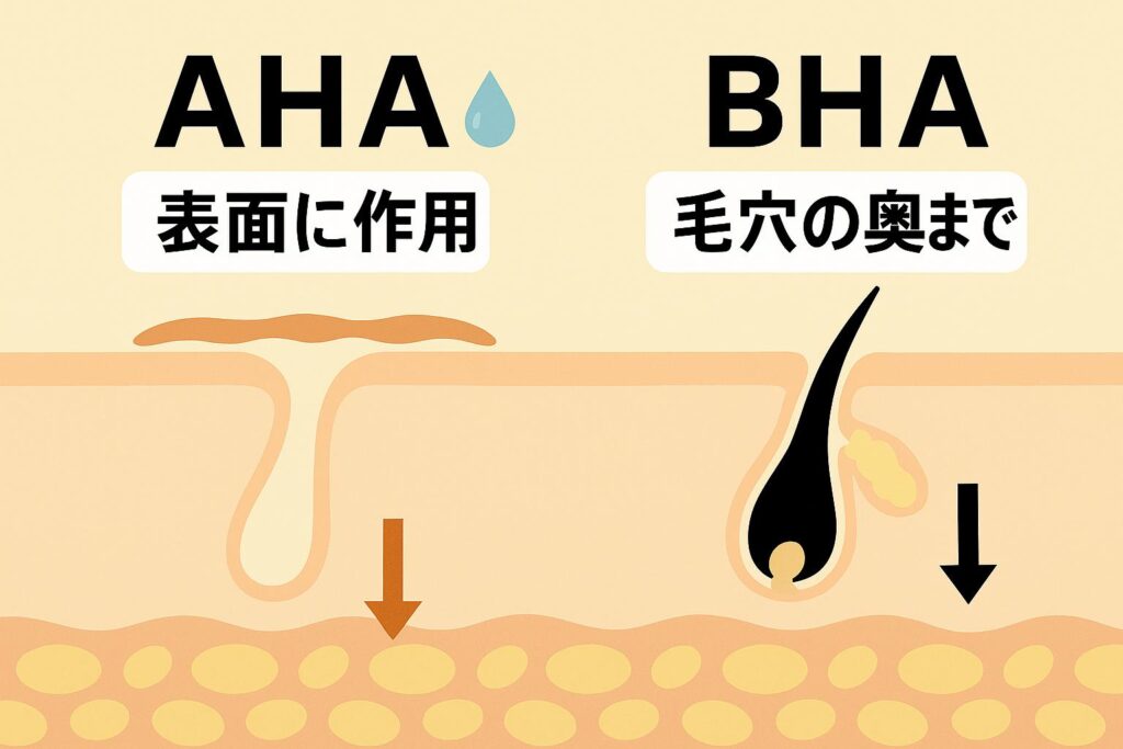 「AHAとBHAの作用範囲を比較した毛穴断面イラスト。左のAHA（水溶性）は肌表面に作用し角質を柔らかくする様子を矢印で表示。右のBHA（脂溶性）は毛穴の奥に入り込み、皮脂や角栓をゆるめる効果を黒い矢印で示している。」