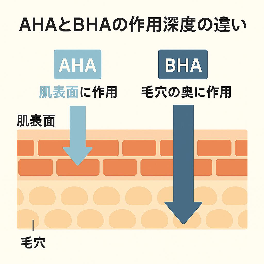 肌断面図を示すイラスト。
左側はAHA(水溶性)で、青い矢印が肌表面に浅く作用している様子。
右側はBHA(サリチル酸、脂溶性)で、濃い青の矢印が毛穴の奥まで深く作用している様子。
キャプションには「AHA=肌表面に作用」「BHA=毛穴の奥に作用」と書かれ、作用深度の違いを直感的に理解できるデザイン。