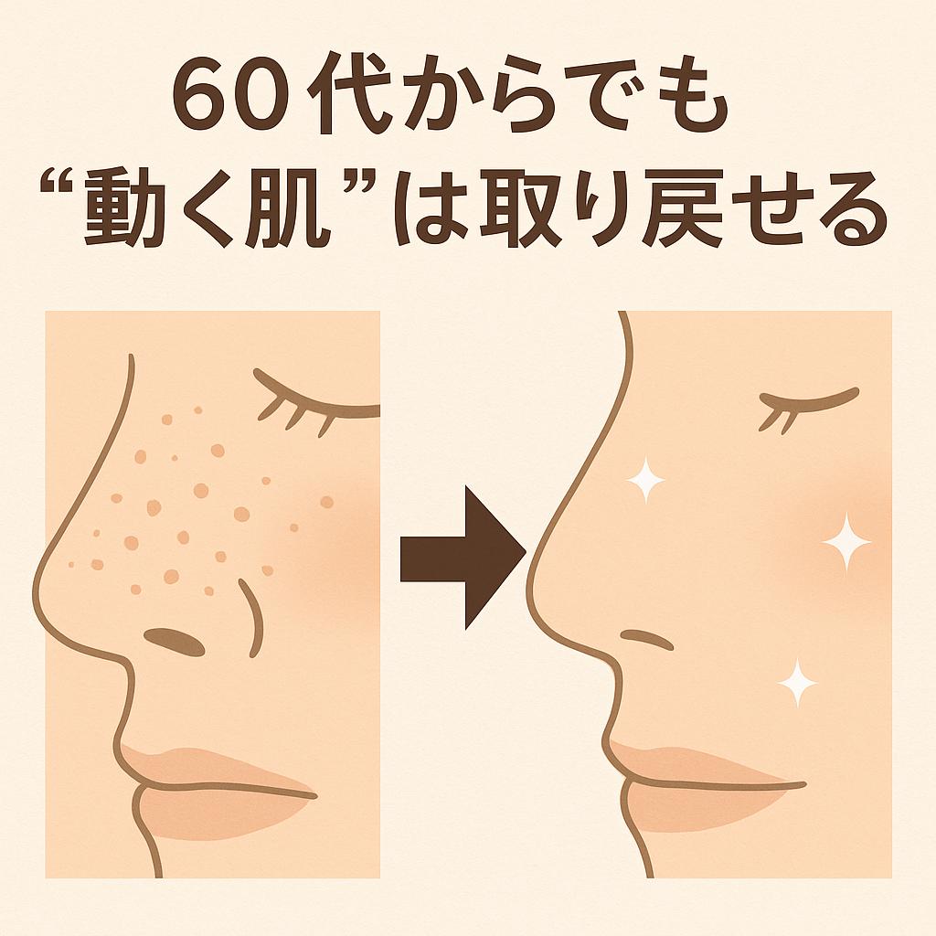 「60代からでも“動く肌”は取り戻せる」というキャッチコピーの入った横長イラスト。
左側には黒ずみや毛穴詰まりが目立つ鼻の断面イラスト、右側には透明感のある滑らかな鼻のイラストが描かれ、中央の矢印で改善の流れを示している。