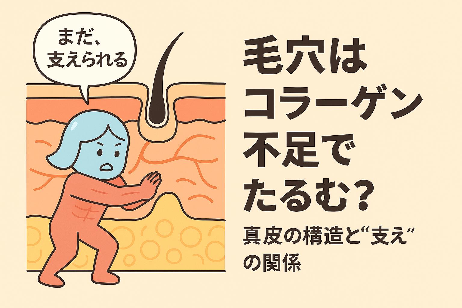 コラーゲンを擬人化したキャラクターが肌の真皮層を下から支えており、その上の毛穴が引き締まっている。吹き出しには「まだ、支えられる」。毛穴がたるむ原因を構造的に示した図解イラスト。