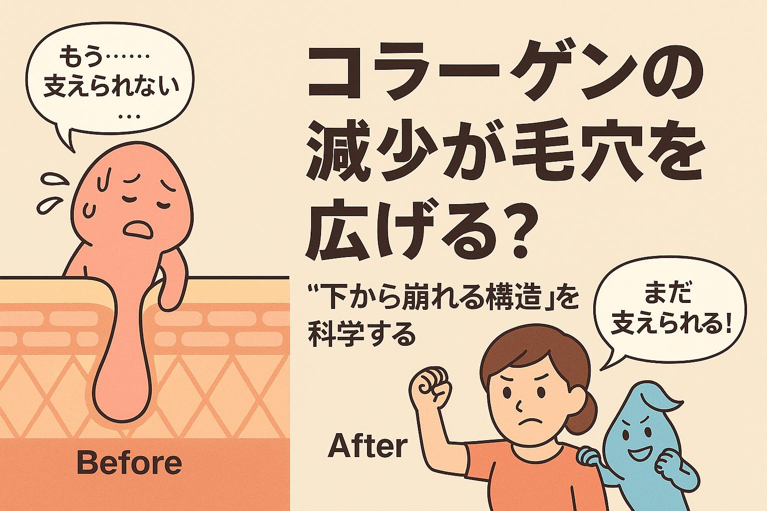 疲れた表情のコラーゲンキャラが皮膚構造を支えきれず、毛穴が崩れて広がっている「Before」構図と、元気なコラーゲンが支えることで毛穴が引き締まっている「After」構図。構造の違いを科学的に可視化したイラスト。