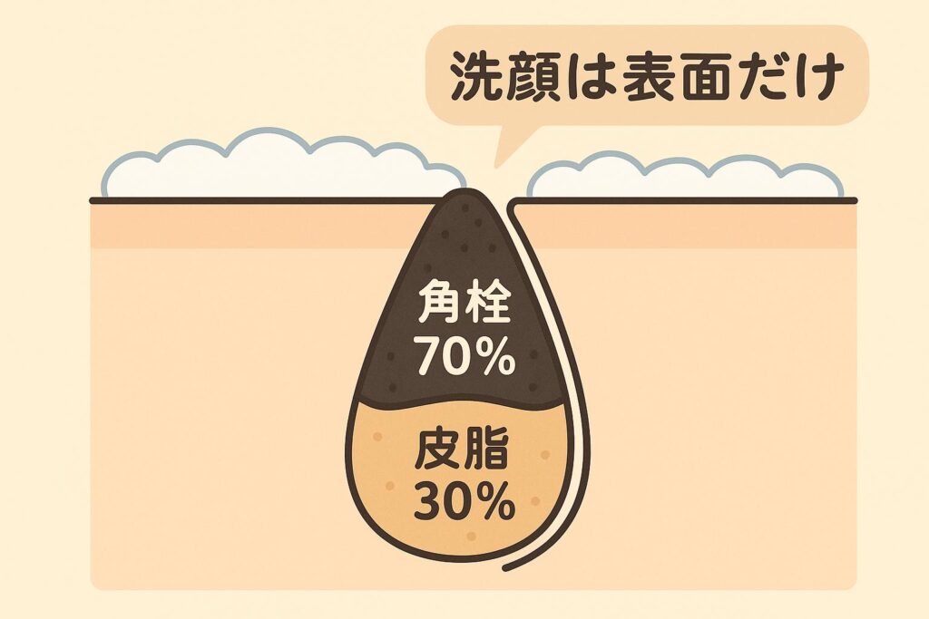 「毛穴の断面図イラスト。毛穴の中に『角栓70％』『皮脂30％』とラベルがついた層構造の角栓が描かれている。外側は黒く酸化し、吹き出しで『洗顔は表面だけ』と補足されている図。」