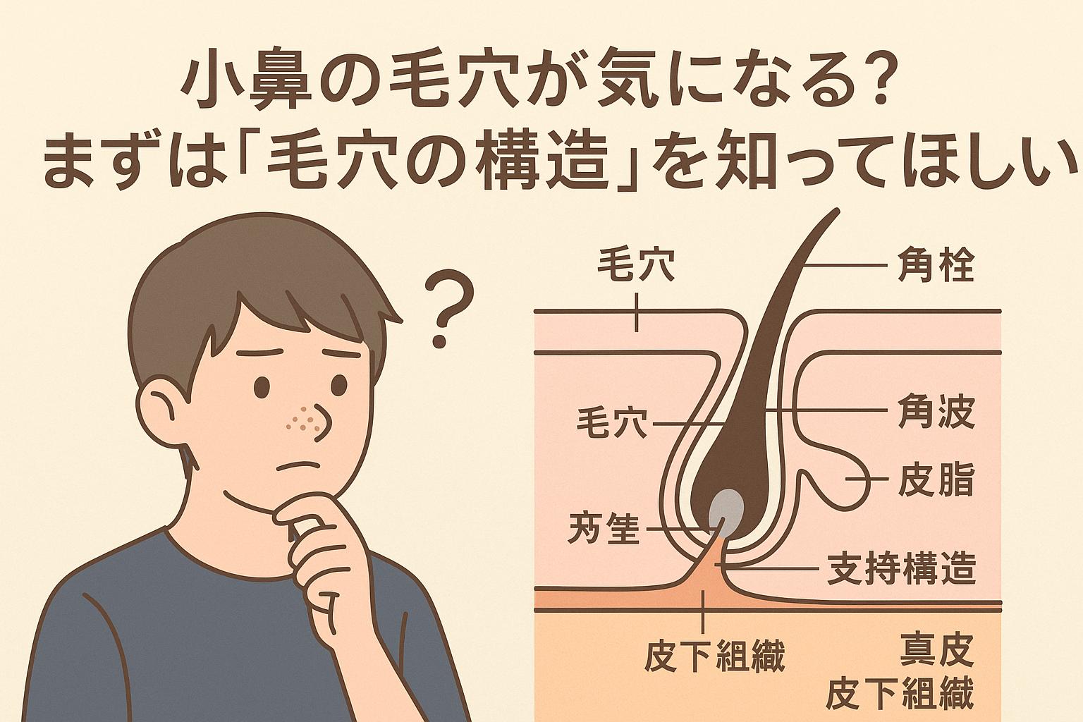 鼻の毛穴に悩む男子大学生が疑問を感じる表情で描かれ、右側には「毛穴」「角栓」「皮脂」「支持構造」「皮下組織」などの詳細なラベルが付いた断面図が表示されている。毛穴構造の理解を促す構成。