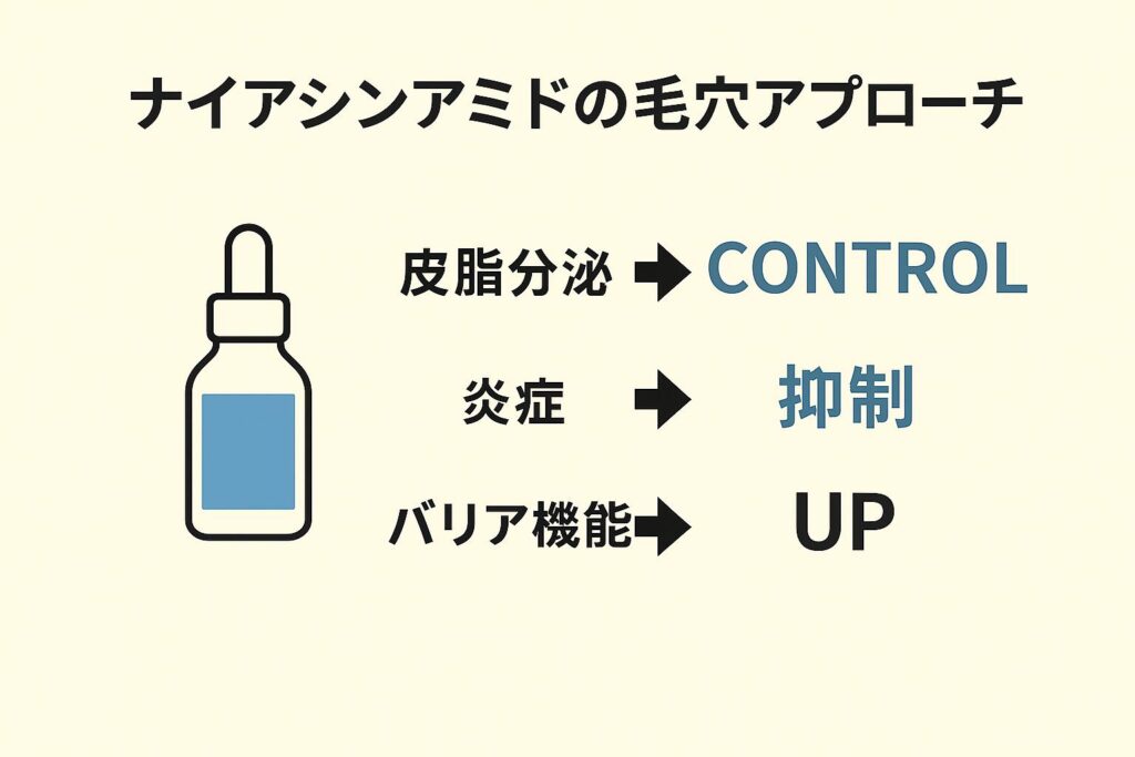 「ナイアシンアミドの毛穴アプローチ」を示す図解。
左側に青色のスポイトボトルのイラスト、右側に矢印付きのテキスト。
「皮脂分泌 → CONTROL（青色強調）」「炎症 → 抑制（青色強調）」「バリア機能 → UP（黒文字）」と表示され、ナイアシンアミドの毛穴ケア効果を直感的に理解できるデザイン。
