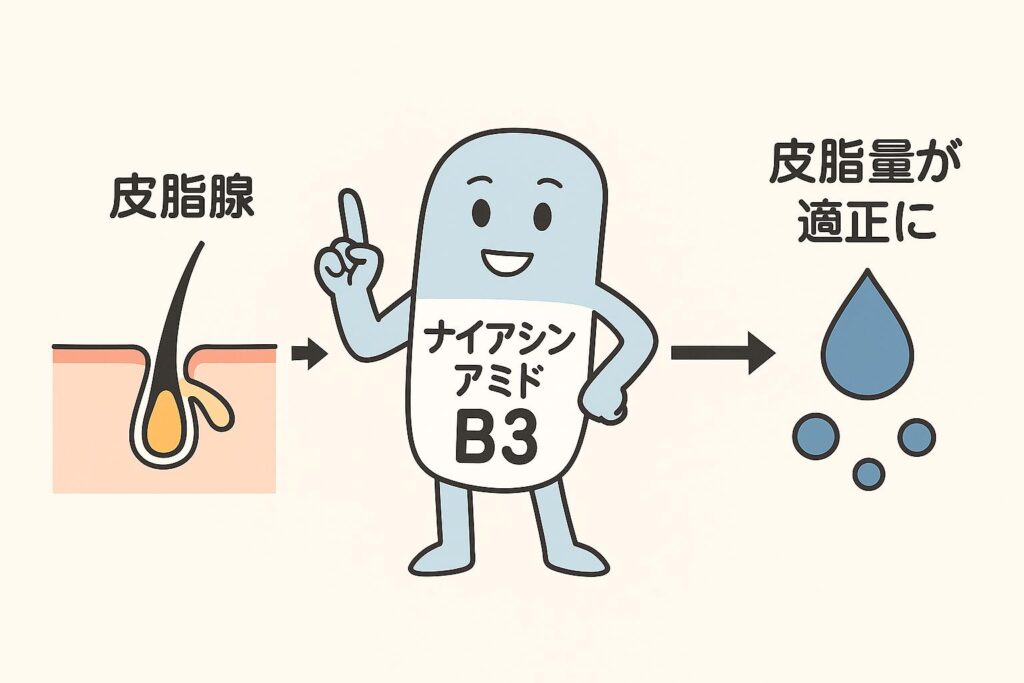 皮脂腺のイラストから矢印でナイアシンアミド(B3キャラクター)につながり、その先に「皮脂量が適正に」と整った水滴のアイコンが描かれた図解。ナイアシンアミドが皮脂分泌を調整する仕組みをシンプルに表現している。
