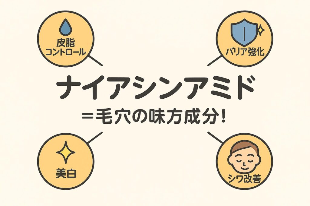 中央に「ナイアシンアミド」と書かれ、その周囲に「皮脂コントロール(水滴アイコン)」「バリア強化(盾アイコン)」「美白(輝きアイコン)」「シワ改善(顔アイコン)」の4つの効果が配置された図解。下部には「=毛穴の味方成分!」と強調されており、ナイアシンアミドの多面的な作用をまとめたビジュアル。