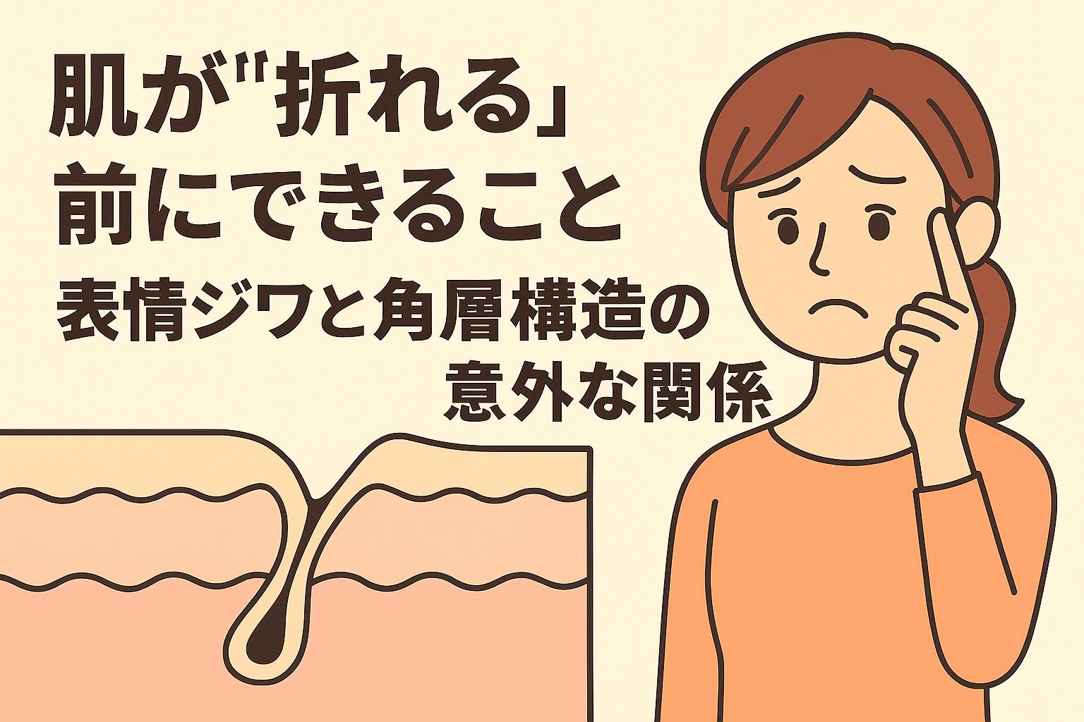 目元のシワを気にする女性と、「肌が折れる前にできること」というメッセージが描かれた構図。皮膚断面図にはたるんだ角層が描かれ、構造の変化を表現。