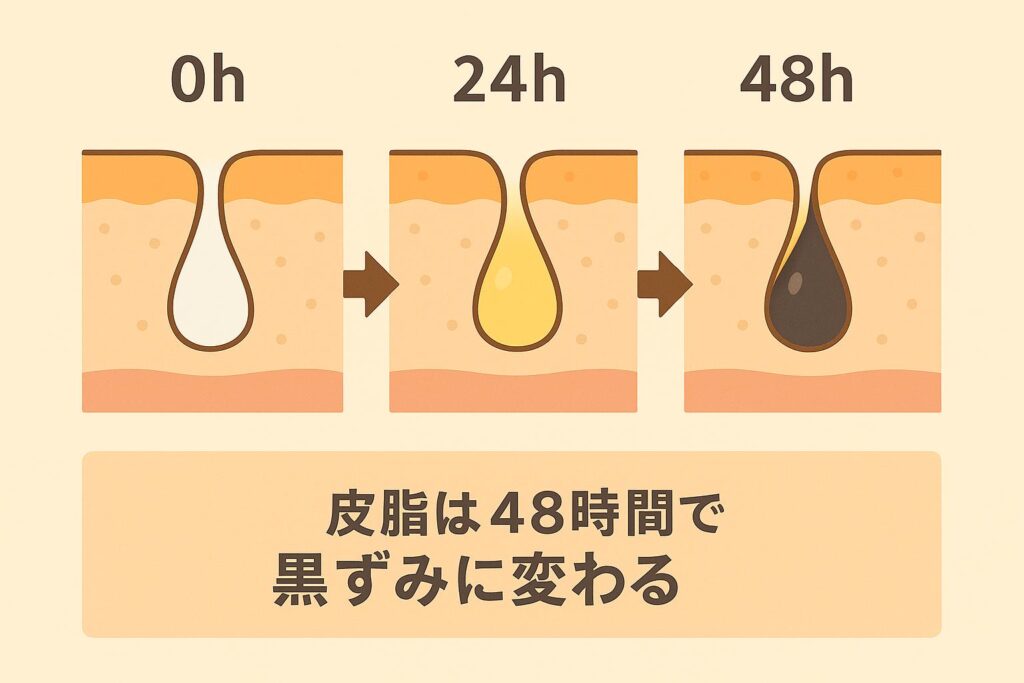 毛穴の断面図で皮脂が酸化して黒ずみに変化する48時間の流れを示したイラスト。 左：0時間後は白っぽい皮脂、中：24時間後は黄ばみ始めた皮脂、右：48時間後は黒ずみに変化。下部に「皮脂は48時間で黒ずみに変わる」と書かれている。