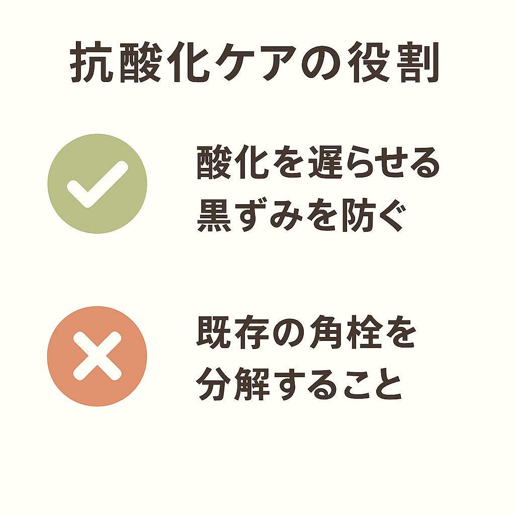 抗酸化ケアの役割を整理した図解。
上段は緑のチェックマーク付きで「酸化を遅らせる・黒ずみを防ぐ」と記載。
下段は赤いバツ印付きで「既存の角栓を分解すること」と記載され、抗酸化ケアの「できること/できないこと」を対比している。