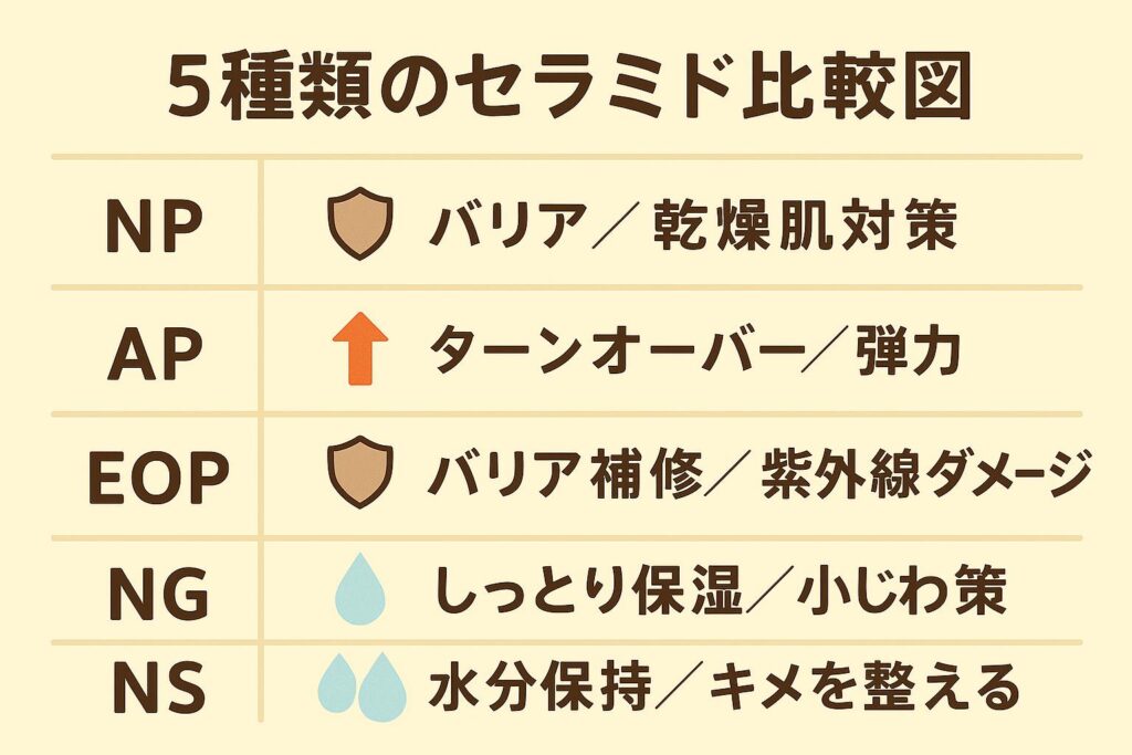 「5種類のセラミド比較図」と題した表形式のイラスト。
NP:盾アイコン、バリア/乾燥肌対策
AP:上向き矢印アイコン、ターンオーバー/弾力
EOP:盾+太陽アイコン、バリア補修/紫外線ダメージ
NG:水滴アイコン、しっとり保湿/小じわ対策
NS:2つの水滴アイコン、水分保持/キメを整える
背景はベージュ色で、シンプルかつ保存版資料のように整理されている。