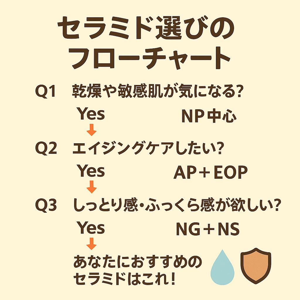 「セラミド選びのフローチャート」と題した正方形の図解。
Q1:乾燥や敏感肌が気になる? → Yes=NP中心
Q2:エイジングケアしたい? → Yes=AP+EOP
Q3:しっとり感・ふっくら感が欲しい? → Yes=NG+NS
最後に「あなたにおすすめのセラミドはこれ!」とまとめられ、水滴と盾のアイコンが添えられている。
