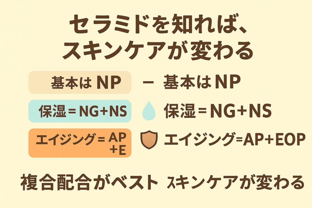 「セラミドを知れば、スキンケアが変わる」と題した横長まとめ図解。
基本はNP
保湿=NG+NS(水滴アイコン付き)
エイジング=AP+EOP(盾アイコン付き)
最後に「複合配合がベスト」と示され、セラミドの種類ごとの役割を整理している。