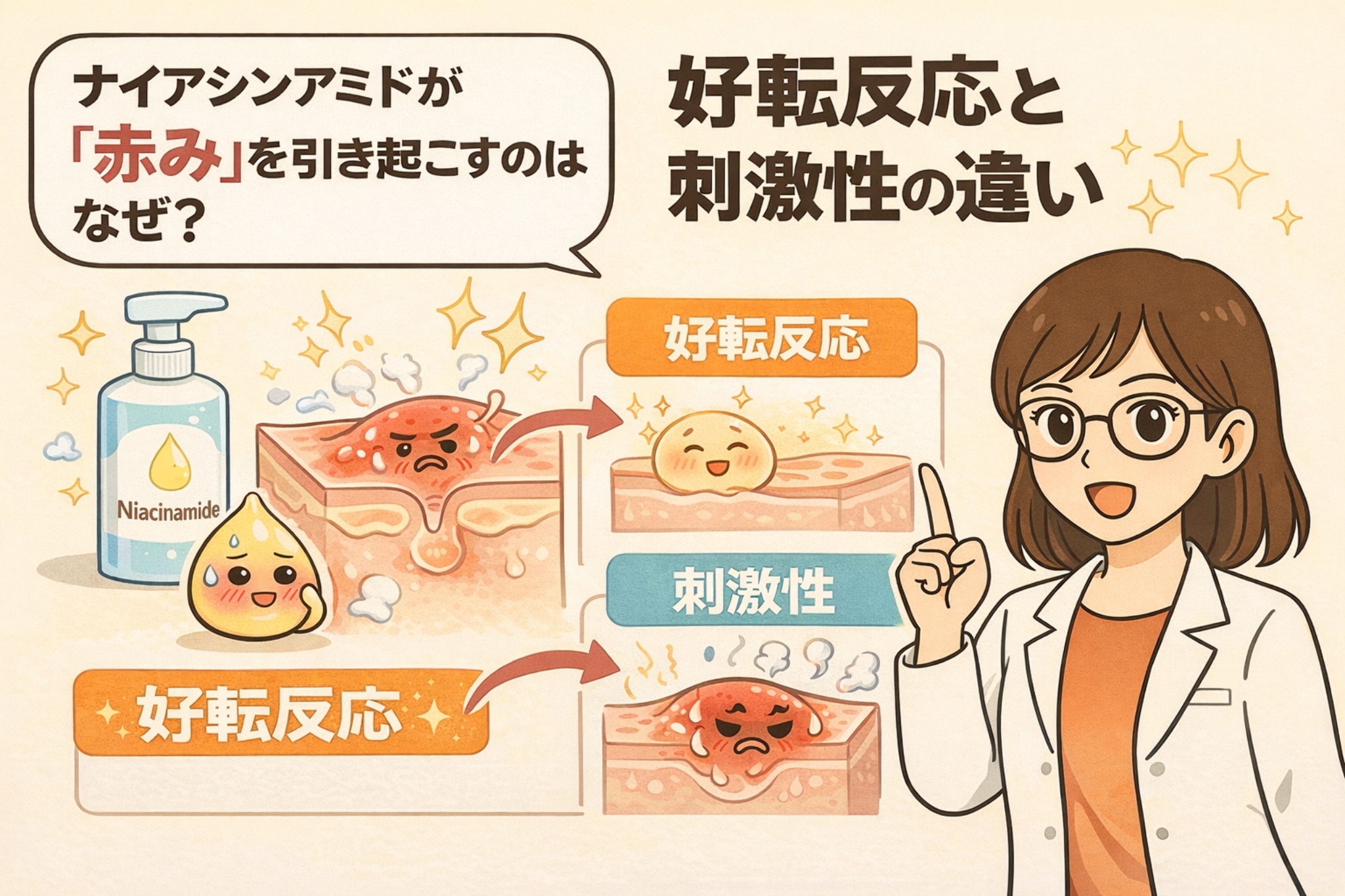 ナイアシンアミドで赤みが出る理由を解説する図解イラスト。肌の断面図を使い、「好転反応」と成分による刺激性の違いを比較し、白衣の女性が指差しで説明している。