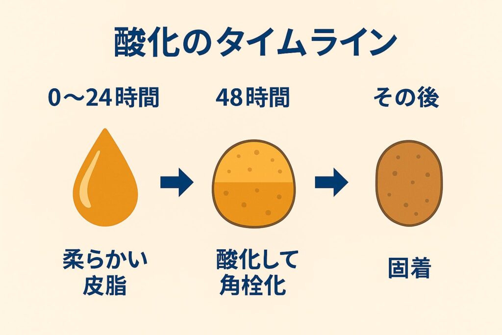 インフォグラフィック「酸化のタイムライン」。
時間の流れを左から右に矢印で示し、

0〜24時間：「柔らかい皮脂」をオレンジ色の水滴アイコンで表現

48時間：「酸化して角栓化」を半分酸化した丸で表現

その後：「固着」を茶色い塊で表現

皮脂が酸化し、48時間以内に角栓化して固まるプロセスを分かりやすく図解している。