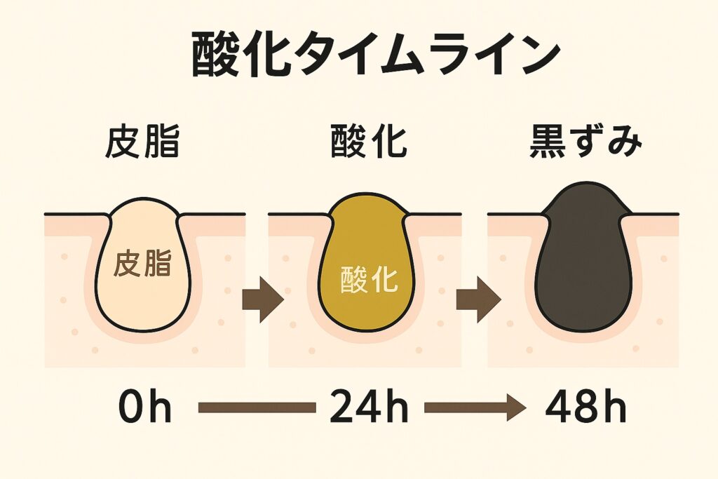 「酸化タイムライン」と書かれた図解。毛穴の断面が3段階で描かれており、 0h：皮脂が溜まっている状態 24h：皮脂が酸化して黄色く変化 48h：黒ずみとして表面に現れる 矢印でつながれ、皮脂が酸化して黒ずみに変わる48時間の流れを視覚的に示している。