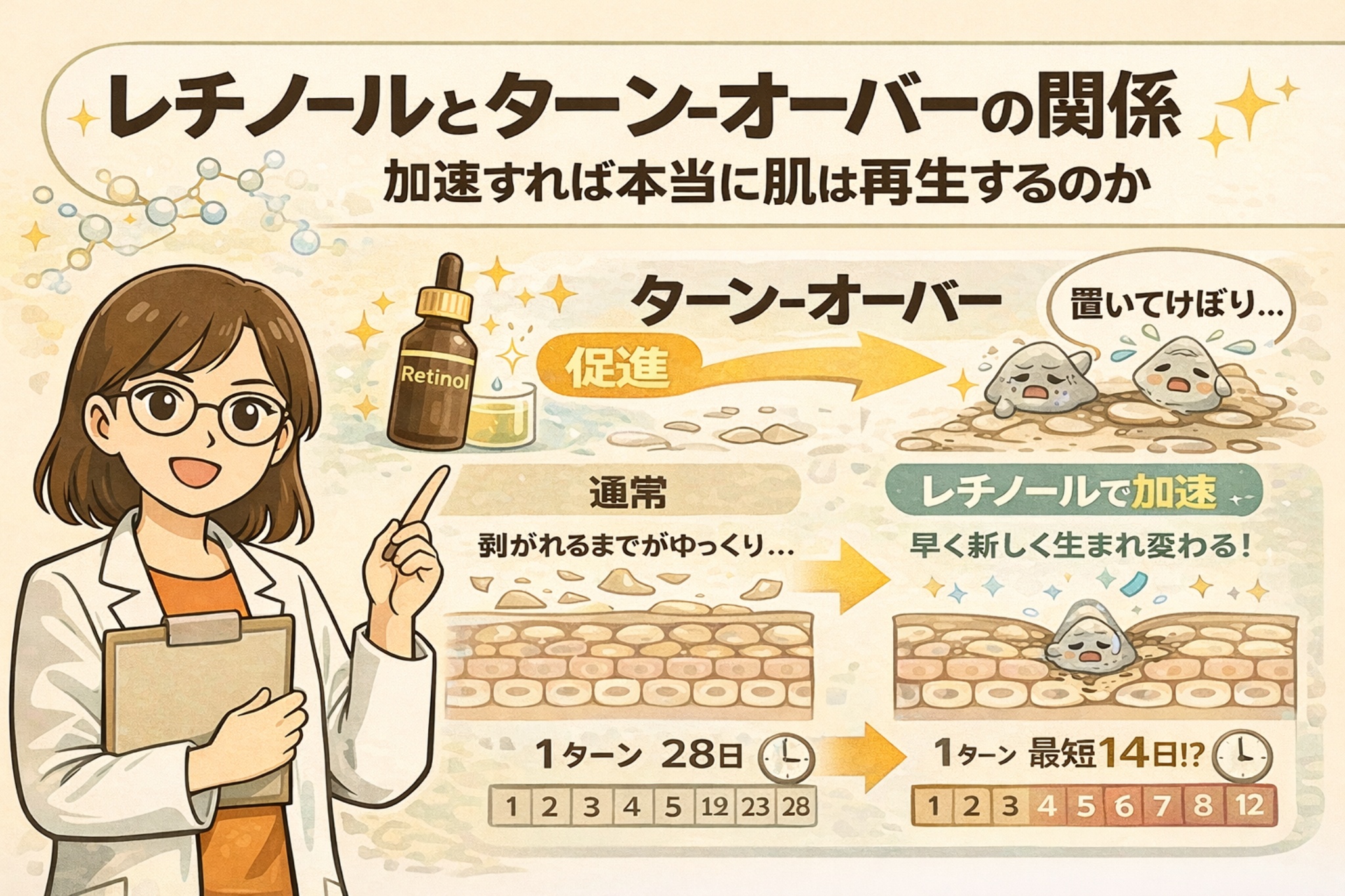 レチノールと肌のターンオーバーの関係を解説した図解イラスト。通常は約28日かかる角質の生まれ変わりが、レチノールによって促進され、より早く新しい肌へ入れ替わる仕組みを、毛穴断面図とカレンダー表示で分かりやすく示している。