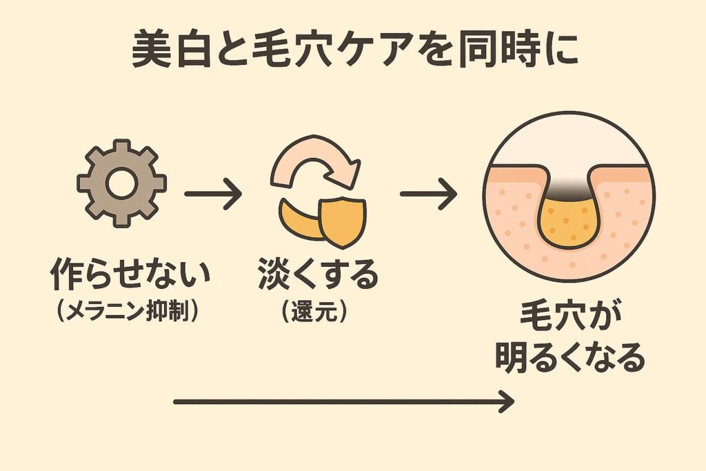 美白と毛穴ケアを同時に行う3ステップ整理図。
1.「作らせない(メラニン抑制)」
2.「淡くする(還元)」
3.「酸化を防ぐ(抗酸化)」
矢印でつながり、最後に「毛穴が明るくなる」ゴールを示す図解。