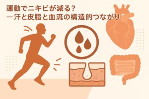 運動とニキビの関係をテーマにした図解イラスト。左側に走る人のシルエット、右側に心臓・腸・毛穴断面図・汗のアイコンが描かれ、運動による血流促進や発汗と皮脂分泌のつながりを表している。テキストには「運動でニキビが減る?―汗と皮脂と血流の構造的つながり」と書かれている。