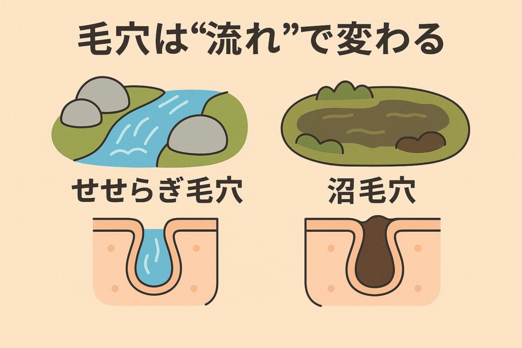 「毛穴は“流れ”で変わる」と書かれた比較イラスト。左は小川のせせらぎのように透明な流れが描かれた「せせらぎ毛穴」の断面図（皮脂がスムーズに流れている）。右は濁った沼のように皮脂がよどみ、黒ずみが詰まった「沼毛穴」の断面図。