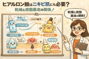 ヒアルロン酸はニキビ肌にも必要かを解説する図解イラスト。乾燥によるバリア低下が皮脂の過剰分泌やニキビ悪化につながる流れを、ヒアルロン酸による保湿とバリア強化の役割、毛穴断面図、擬人化成分キャラクター、白衣の女性解説者とともに分かりやすく説明している