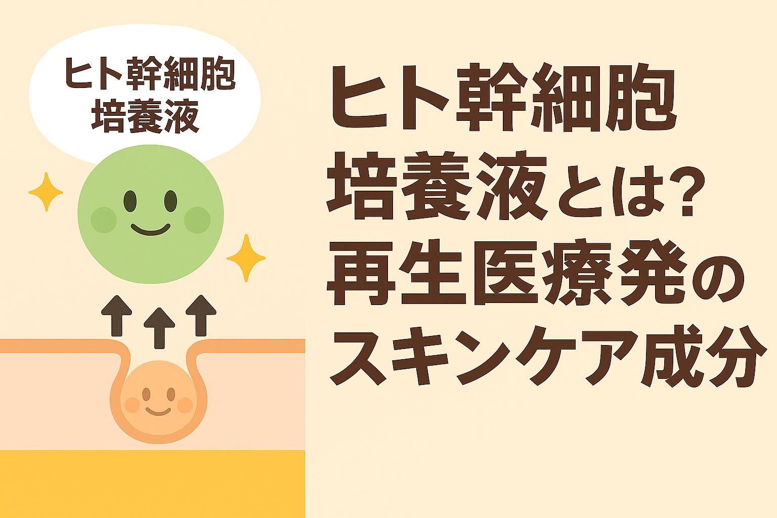 ヒト幹細胞培養液を擬人化したキャラクターと肌断面図を描き、再生医療由来のスキンケア成分としての働きを示すイラスト。右側に「ヒト幹細胞培養液とは？再生医療発のスキンケア成分」と太字タイトルを配置したアイキャッチ。