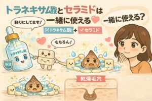 トラネキサム酸とセラミドが一緒に使えるかを、保湿とバリア機能の観点から解説した図解イラスト。乾燥した毛穴に対して、トラネキサム酸の肌荒れ抑制とセラミドのバリア補強が相互に作用する様子を、成分の擬人化と毛穴断面図で示している。