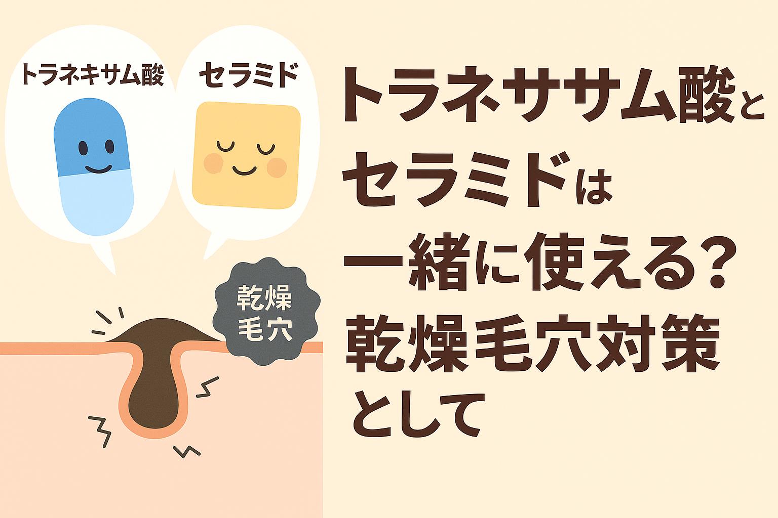 トラネキサム酸とセラミドを擬人化したキャラクターが登場し、乾燥で硬くなった毛穴断面図とともに「一緒に使える？」と問いかけるアイキャッチイラスト。乾燥毛穴対策をテーマにしたデザイン。