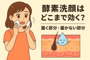 「酵素洗顔はどこまで効く？──届く部分・届かない部分」を説明するイラスト。左側には酵素洗顔の泡で顔を洗う女性。右側の皮膚断面図には、水滴キャラクターが表面の角質をケアしている様子が描かれ、酵素洗顔が“表面には届くが毛穴の奥までは届かない”仕組みをわかりやすく示している。