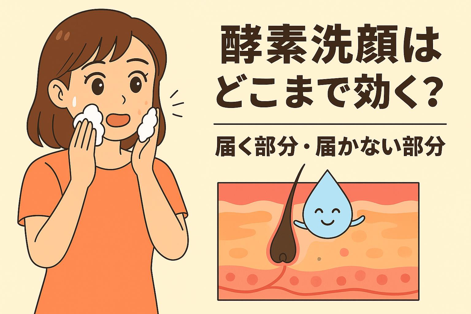 「酵素洗顔はどこまで効く?──届く部分・届かない部分」を説明するイラスト。左側には酵素洗顔の泡で顔を洗う女性。右側の皮膚断面図には、水滴キャラクターが表面の角質をケアしている様子が描かれ、酵素洗顔が“表面には届くが毛穴の奥までは届かない”仕組みをわかりやすく示している。