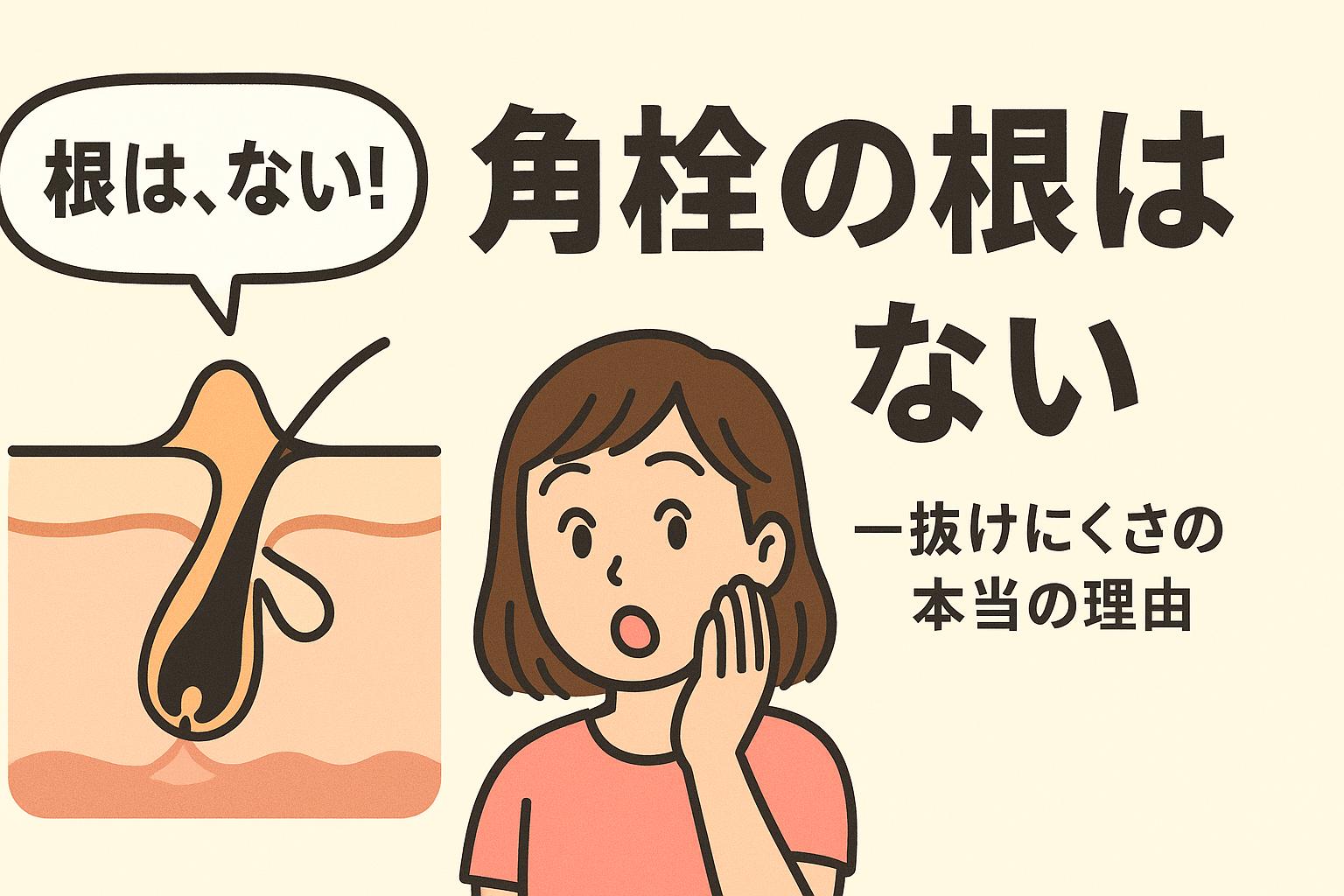 「角栓の根はない」という内容を説明するイラスト。左側に毛穴の断面図が描かれ、角栓が伸びた形で表示され「根は、ない！」と吹き出しを出している。右側には女性が頬に手を当てて驚いた表情で見つめている。角栓が“根のように見える”のは誤解であり、抜けにくさの本当の理由を伝える構造解説図。