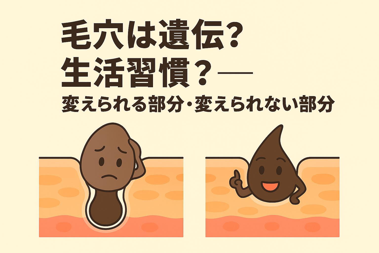 「毛穴は遺伝？生活習慣？──変えられる部分・変えられない部分」を説明するイラスト。 左側には遺伝的に広がりやすい毛穴を擬人化した、困った表情の毛穴キャラクター。 右側には生活習慣改善で整いやすい毛穴を擬人化した、笑顔のキャラクター。 毛穴の状態には遺伝的要因と生活習慣による要因があり、それぞれ対処できる範囲が異なることを示している。