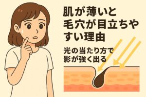 「肌が薄いと毛穴が目立ちやすい理由──光の当たり方で影が強く出る」を説明するイラスト。左側には肌が薄くて毛穴が気になる女性。右側の皮膚断面図では、肌が薄いことで毛穴周辺に光が当たった際、影がより濃く落ちて毛穴が強調される様子が矢印で示されている。