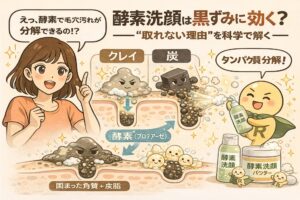 酵素洗顔が黒ずみに効きにくい理由を科学的に解説するイラスト。毛穴断面図で、黒ずみの正体が「固まった角質と皮脂」であることが示され、酵素（プロテアーゼ）は角質のタンパク質部分には作用するが、皮脂と混ざって固化した角栓全体は分解できない様子が描かれている。クレイや炭との違いも対比され、酵素洗顔だけでは黒ずみが取れない理由を視覚的に説明する構図。