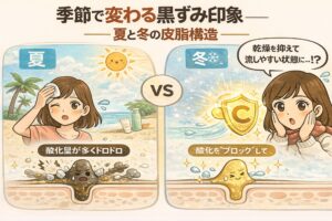 季節によって黒ずみの印象が変わる理由を、夏と冬の皮脂構造の違いで解説するイラスト。左の夏は紫外線や皮脂分泌増加により酸化量が多く、皮脂がドロドロになって黒ずみが目立ちやすい様子が描かれている。右の冬は乾燥しやすい一方で、抗酸化ケアによって酸化が抑えられ、黒ずみが目立ちにくくなる状態が示されている。季節ごとの皮脂環境と黒ずみ印象の変化を視覚的に比較した構図。