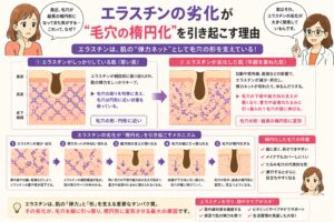 「エラスチンの劣化が毛穴の楕円化を引き起こす理由」と書かれた日本語インフォグラフィック。左に悩む女性、右に白衣の女性が配置され、中央にはエラスチンが正常な肌と劣化した肌の比較図があり、毛穴が円形から縦長の楕円形へ変形する過程が段階的に示されている。下部にはエラスチン劣化のメカニズムやケア方法がまとめられている。