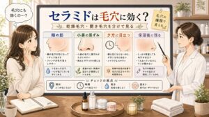 セラミドは毛穴に効く？乾燥毛穴・開き毛穴を分けて見る相談室イラスト