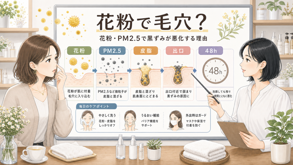 花粉とPM2.5で毛穴黒ずみが悪化する理由を皮脂・出口・48時間で整理する美容相談イラスト