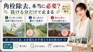 角栓除去は押さずに離れる白く浮いた角栓だけにして黒い点は離れて見直し押すと赤いものは今日は抜かない