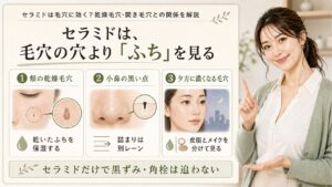 乾燥毛穴、黒い点、夕方の毛穴を分ける図