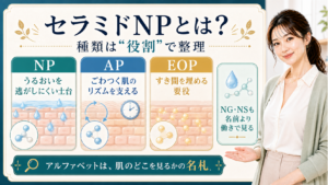 セラミドNP・AP・EOPなどの種類を役割で整理する美容解説ボード